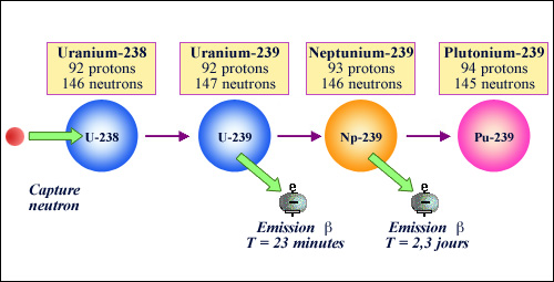 generation_pu239